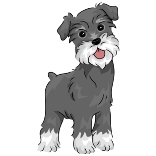 Illustration Schnauzer Sticker