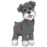 Illustration Schnauzer Sticker