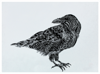 Illustration  the Black Crow Sticker