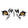 Illustration Tiger Eyes Sticker