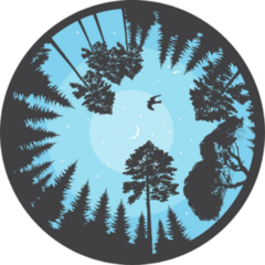 Illustration Trees In Evening Sky With Moon And Stars Sticker