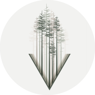 Illustration Trees Landscape Background With Forest Sticker