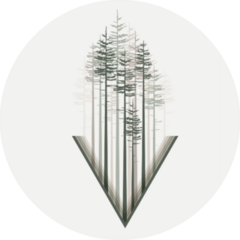 Illustration Trees Landscape Background With Forest Sticker