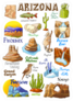 Illustration With Arizonas Countrysides And Symbols Sticker