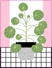 Illustration With Cute Home Plant Sticker