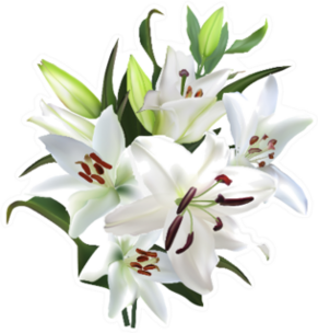 Illustration With Light Lily Flowers Bouquet Sticker