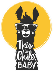 Illustration With Llama In A Sunglasses And Lettering Sticker
