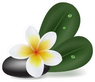 Illustration With Natural Plumeria Flower Sticker