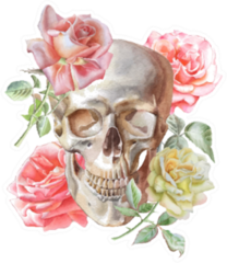 Illustration With Skull And Roses Watercolor Sticker