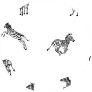 Illustration Zebra Pattern Sticker