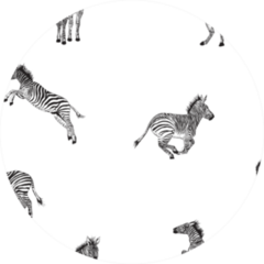 Illustration Zebra Pattern Sticker