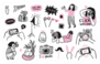 Illustrations Of Photography Concepts Cartoon Style Sticker