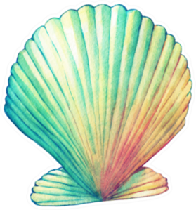 Illustrations Of Sea Shell In Rainbow Paint Sticker