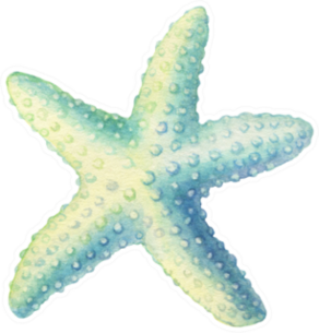 Illustrations Of Underwater Life Objects - Blue Starfish Sticker