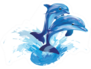Image Of Dolphins Jumping Out Of Water Sticker