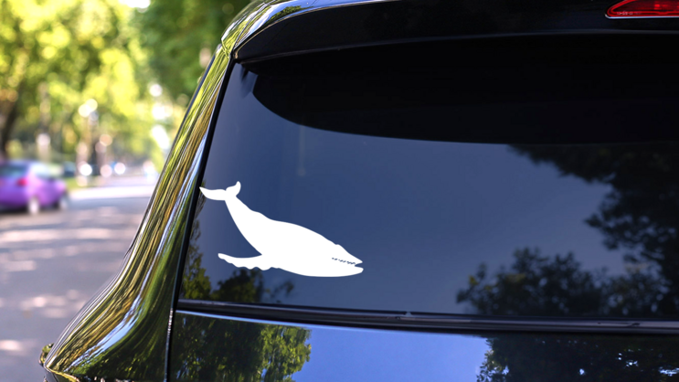 Immense Whale Sticker on a Rear Car Window (New) example