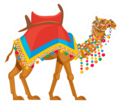 Indian Camel Traditional Colorful Decorated Sticker