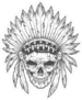 Indian Skull With Feather Headdress Sticker