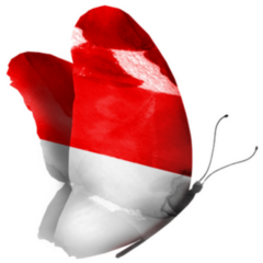 Indonesia Watercolor Flag Butterfly Sticker