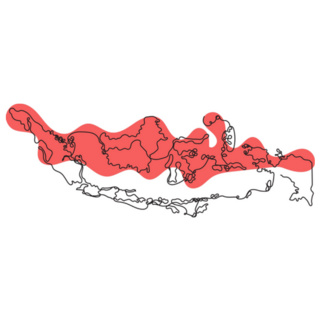 Indonesian Country Map Sticker