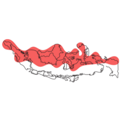 Indonesian Country Map Sticker