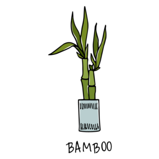 Indoor Bamboo Potted Plant Sticker