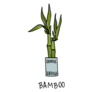 Indoor Bamboo Potted Plant Sticker