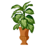 Indoor Dumb Cane Plant Sticker