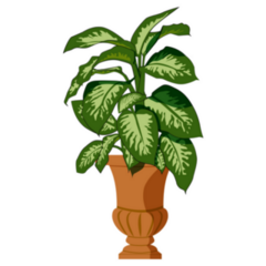 Indoor Dumb Cane Plant Sticker