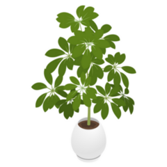 Indoor Hawaiian Schefflera Tropical Plant Sticker