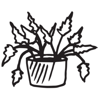 Indoor Potted Plant Doodle Transfer Sticker