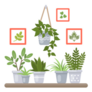 Indoor Potted Plants on a shelf with Picture Frames Sticker