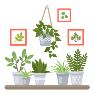 Indoor Potted Plants on a shelf with Picture Frames Sticker