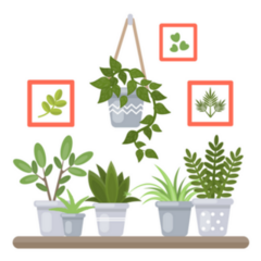 Indoor Potted Plants on a shelf with Picture Frames Sticker