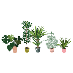 Indoor Trees And House Plants Hand Drawn Sticker