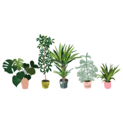 Indoor Trees And House Plants Hand Drawn Sticker