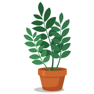 Indoor ZZ Potted Plant Sticker
