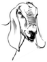 Ink Drawing Of Goat Sticker