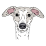 Ink Whippet Sticker