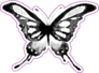 Inky Butterfly Art Sticker