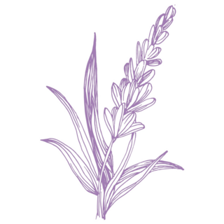 Inky Sketch Lavender Sticker