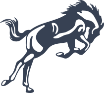 Interesting Horse Running Sticker