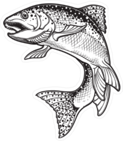 Intricate Rainbow Trout Drawing Sticker