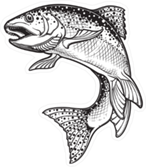 Intricate Rainbow Trout Drawing Sticker
