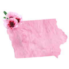 Iowa In Tender Pink Colors Sticker