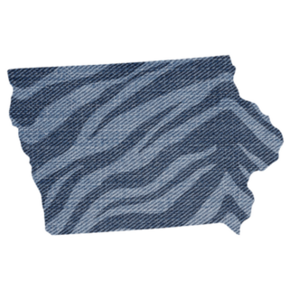 Iowa State Zebra Sticker