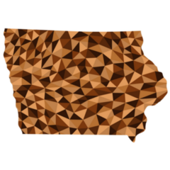 Iowa U.s. State Polygonal Map Sticker