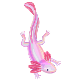 Iridescent Axolotl Sticker