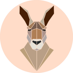 Isolated Kangaroo Portrait Geometric Style Sticker