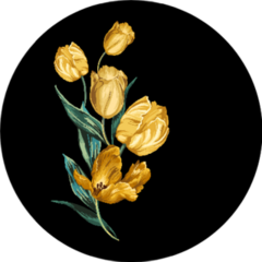 Isolated Yellow Tulips On A Black Background Sticker